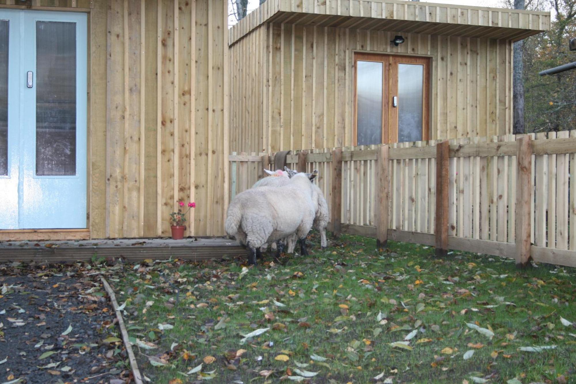 Bcc Lochness Hostel Pods Bearnock Exterior foto