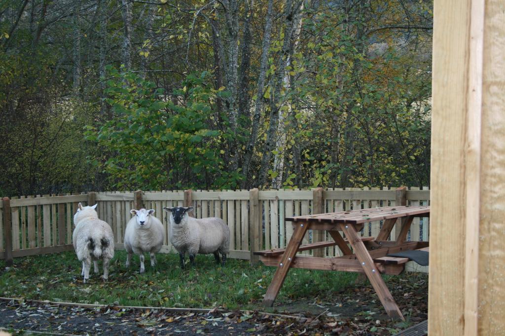 Bcc Lochness Hostel Pods Bearnock Quarto foto