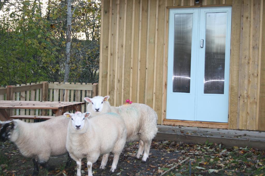 Bcc Lochness Hostel Pods Bearnock Quarto foto