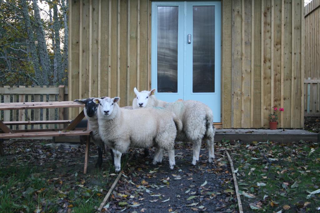 Bcc Lochness Hostel Pods Bearnock Quarto foto