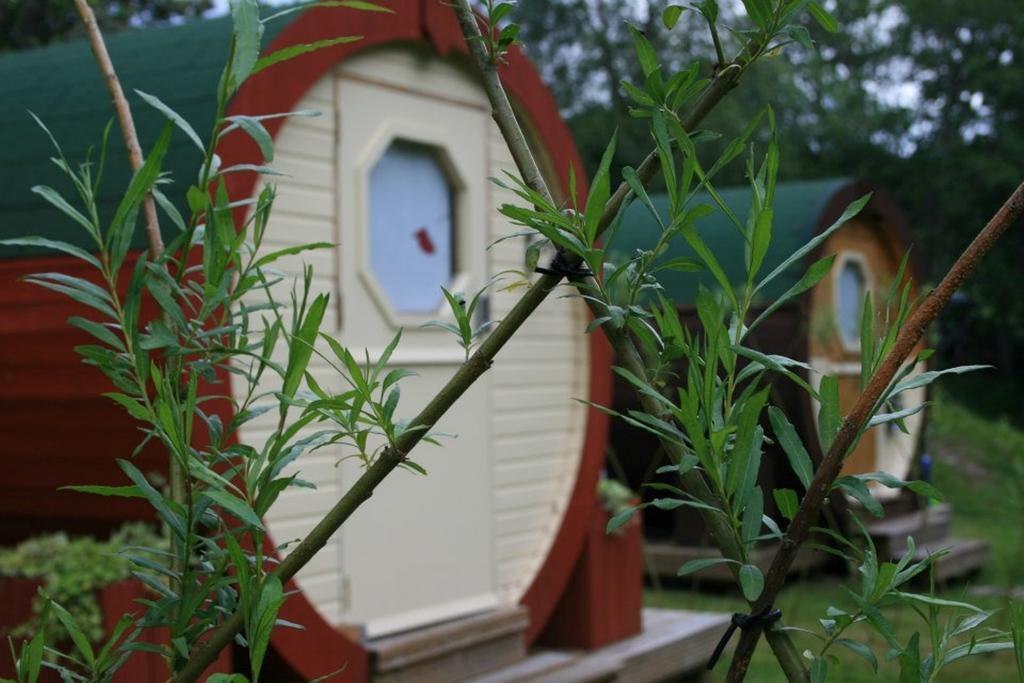 Bcc Lochness Hostel Pods Bearnock Quarto foto